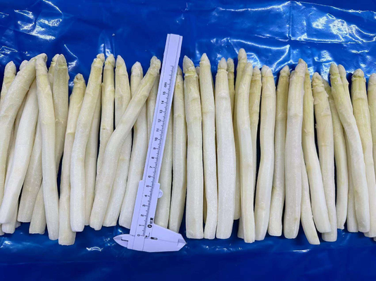 Wholesale IQF Vegetable IQF Frozen White Asparagus Spear From China