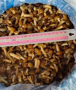 Delicious Frozen Mushrooms Perfect for Your Business Needs Nameko in Brine