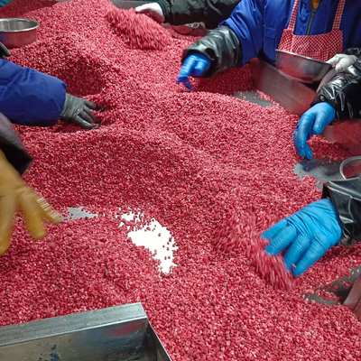 Wholesale IQF Frozen Raspberry Crumble Factory Price Strict Quality Control Good Taste