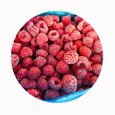 High Quality Fresh Frozen Raspberry Handpicked for Sweet Taste for Juices Desserts Milkshakes