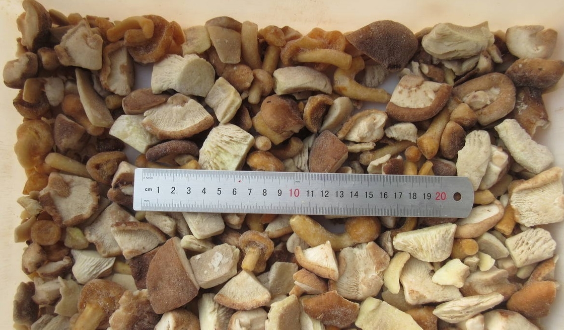 2025 New Crop high quality frozen mixed mushrooms Frozen