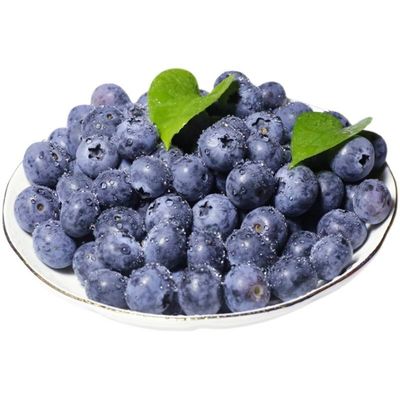 IQF Süße ganze Blaubeeren Tiefkühl-Blaubeeren