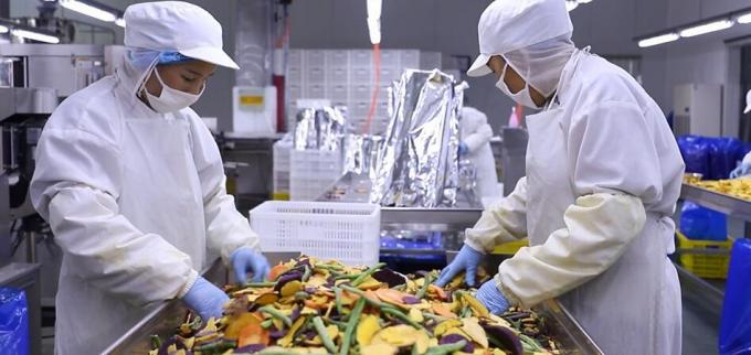 Hochwertige gefrorene Himbeeren Gefrorene Himbeeren 10