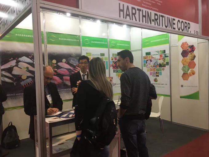 Hochwertige gefrorene Himbeeren Gefrorene Himbeeren 19