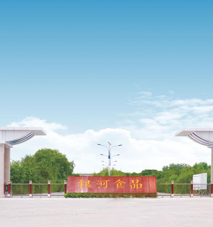 Sinocharm 4-Sterne-Produkt BRC-A Frische gelbe Pfirsich 10x10mm Gefrorene Fruchtst&uuml;cke W&uuml;rfel IQF Gelbe Pfirsichst&uuml;cke 9