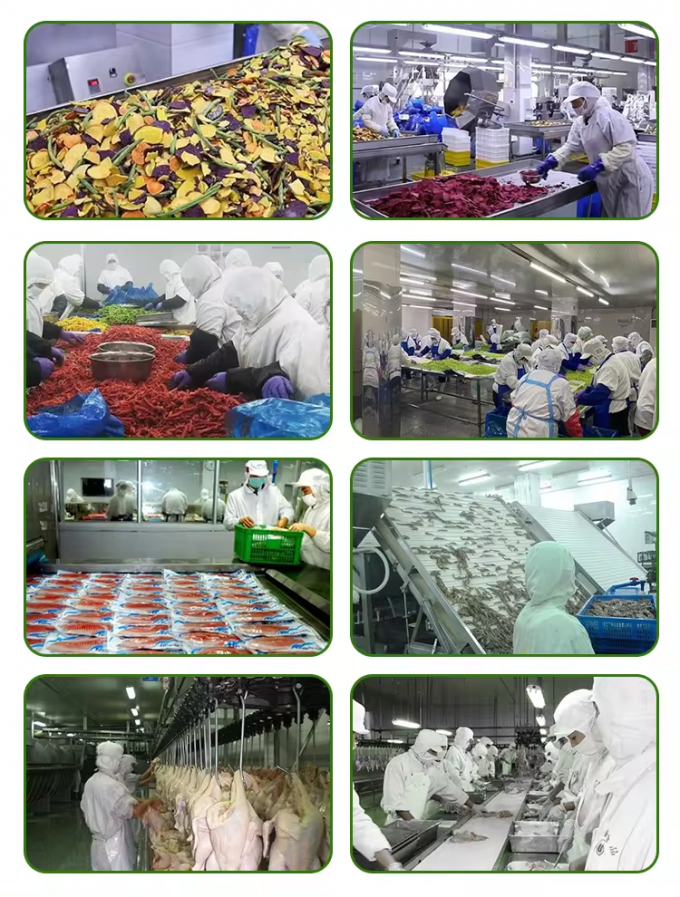 Gro&szlig;handel IQF Tiefk&uuml;hl-Kiwi Fr&uuml;chte in St&uuml;ckchen Tiefk&uuml;hl-Kiwi Ganzes in Scheiben geschnitten S&uuml;&szlig;er Geschmack Tiefk&uuml;hl-Kiwi 2