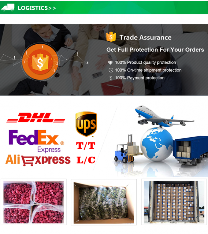 Gro&szlig;handel IQF Tiefk&uuml;hl-Ananasw&uuml;rfel Tiefk&uuml;hlfr&uuml;chte mit gutem Preis 5