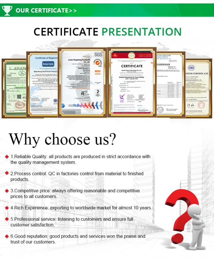 Neue Ernte, gefrorene Lotuswurzelscheiben oder -st&uuml;cke zu gutem Preis 3