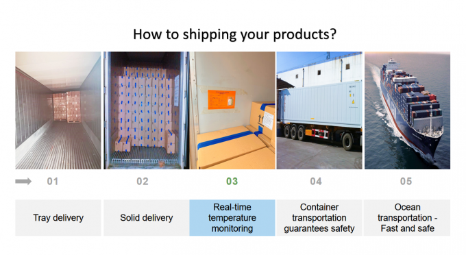 Gefrorene IQF-Banane aus China, hei&szlig;es Produkt, in Scheiben geschnitten f&uuml;r den Export, mit hoher Qualit&auml;t 2