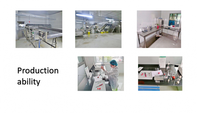 Chinesische Lieferung Beste Qualit&auml;t guter Preis Iqf Gefriertes Gem&uuml;se Voll Okra Gumbo 7