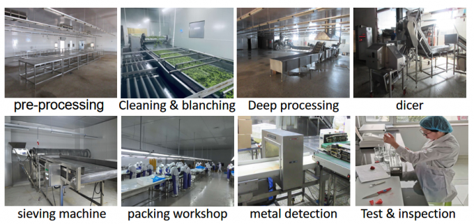 Chinesische Lieferung Beste Qualit&auml;t guter Preis Iqf Gefriertes Gem&uuml;se Voll Okra Gumbo 8