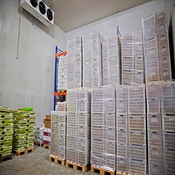 Billiger Preis Hochwertige, fettarme, saubere, HALAL zugelassene gefrorene Lammleber 3