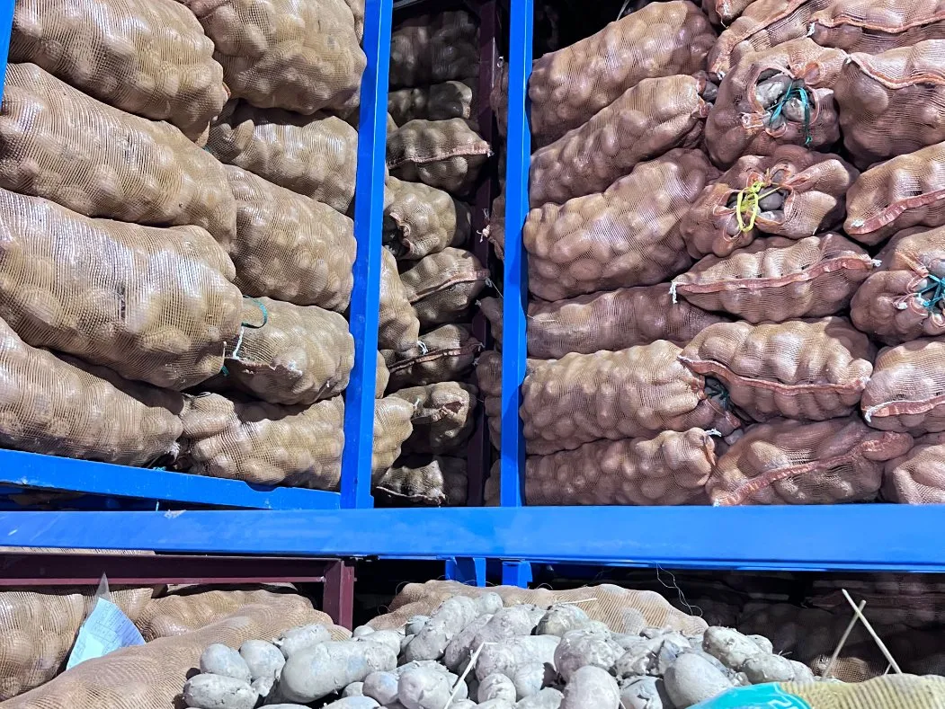 Verladung und termingerechte Lieferung von tiefgekühlten, geraden Pommes Frites 0