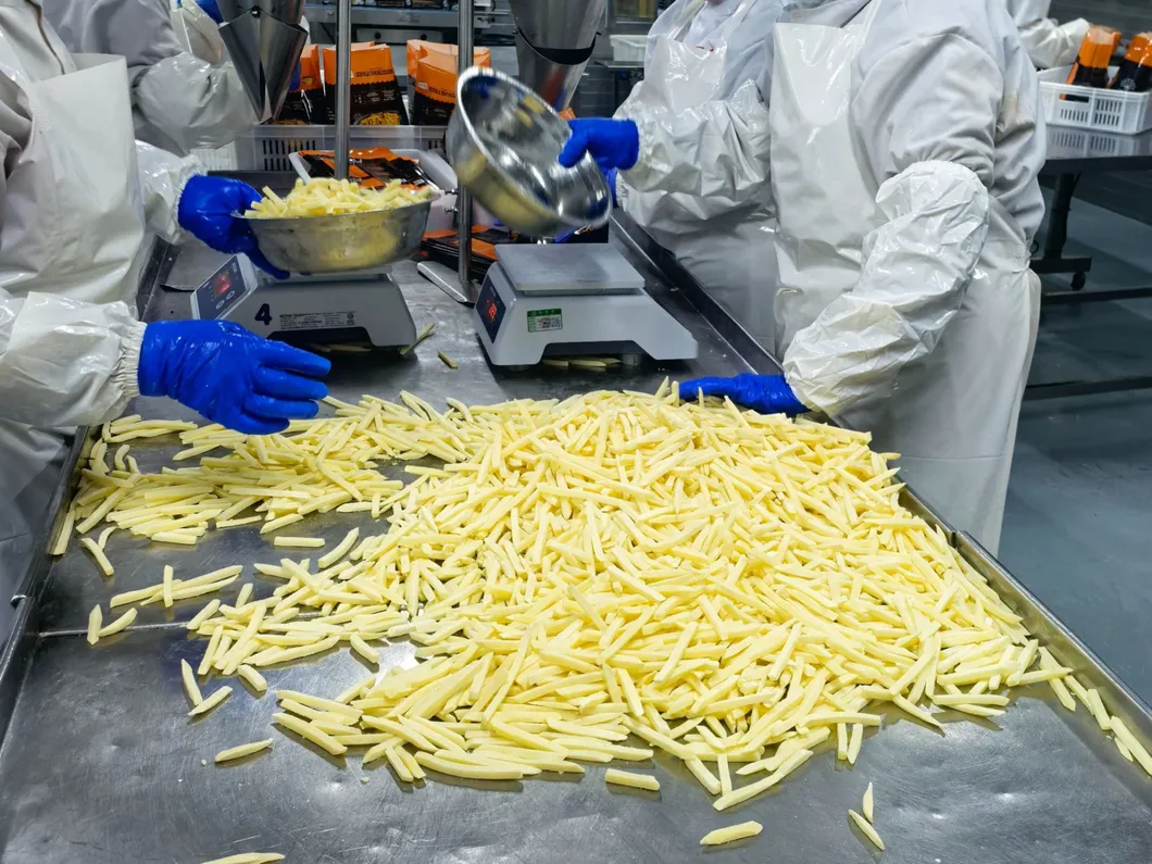 Verladung und termingerechte Lieferung von tiefgekühlten, geraden Pommes Frites 2