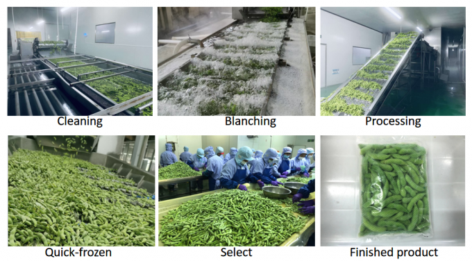 Bio-Tiefk&uuml;hlgem&uuml;se mit hohem Proteingehalt, fertig zum Kochen, IQF-Sojabohnen 4