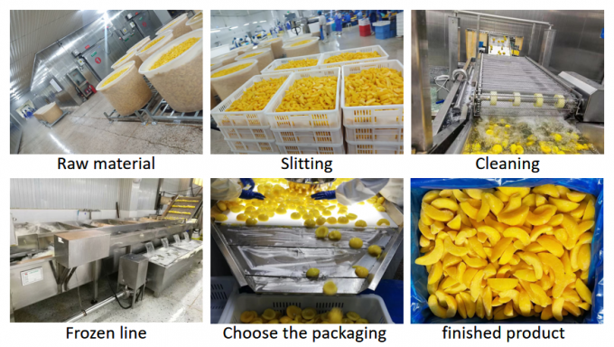 Topqualit&auml;t 10 kg Froschgefrierte Gelbpersichhalben - ideal f&uuml;r Konserven und Export 3