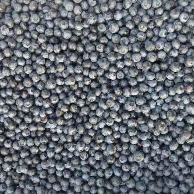 IQF Gefrorene ganze Heidelbeeren Premium Back- und Smoothie-Toppings Intensiv 1