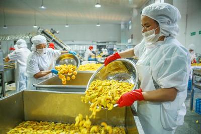 IQF Bio Gelber Pfirsich Halben Gefrorene Fr&uuml;chte S&uuml;&szlig;er Geschmack Massenverpackung Konservierbares Wasser Pulpe Ganze W&uuml;rfel W&uuml;rfel Halben Erh&auml;ltlich 8