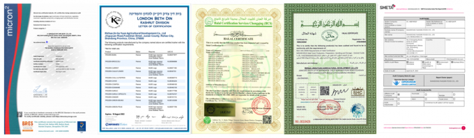 Gro&szlig;handel Bio-Sichthorn Gefrorene Seichthornbeeren 5