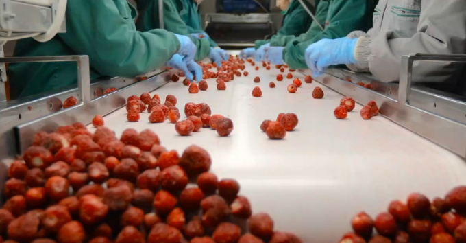 Hochwertige IQF Gefrorene Aprikosen halbiert Warmverkauf f&uuml;r Gro&szlig;- und Einzelhandel 3