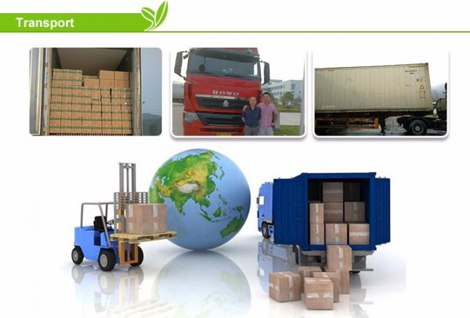 Frischgefrorene Ananas-Scheiben W&uuml;rfel-Scheiben-Schnitte W&uuml;rfel-Bl&ouml;cke Schnitte Unges&uuml;&szlig;tes IQF Gro&szlig;handelspreis Gro&szlig;handel Bio-Einfrieren Keine Bewertungen noch zertifiziert 6