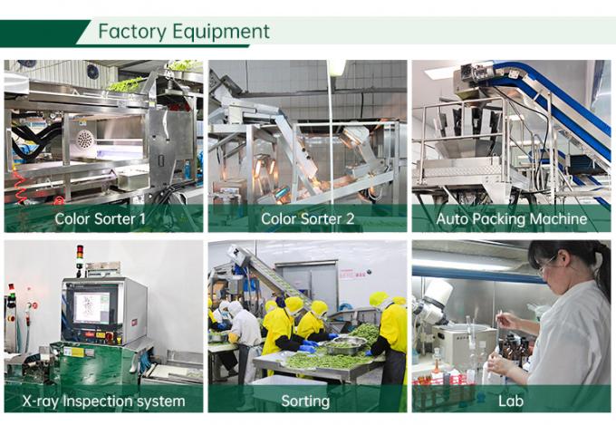 HALAL Zertifizierte Tiefk&uuml;hlgem&uuml;sefabrik IQF Tomatenst&uuml;cke 10 mm Tiefk&uuml;hlt&ouml;tomaten in China 2