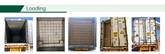 HALAL Zertifizierte Tiefk&uuml;hlgem&uuml;sefabrik IQF Tomatenst&uuml;cke 10 mm Tiefk&uuml;hlt&ouml;tomaten in China 4