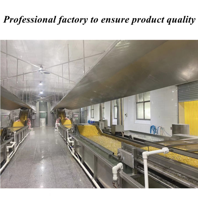 Hohe Qualit&auml;t Wettbewerbspreis Eingefrorener Mais S&uuml;&szlig;maisk&ouml;rner Bio-GVO-freies Massenverpacken 1