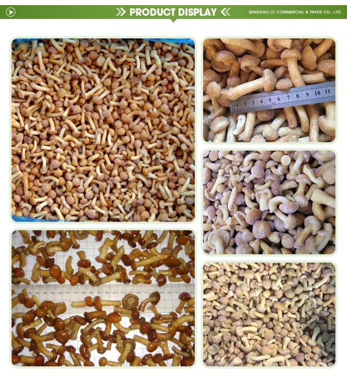 Wildpilze, kultiviert, Bio, gesund, nat&uuml;rlich, nahrhaft, frisch, ganze, gefrorene Pilze, IQF-gefrorene Nameko 1