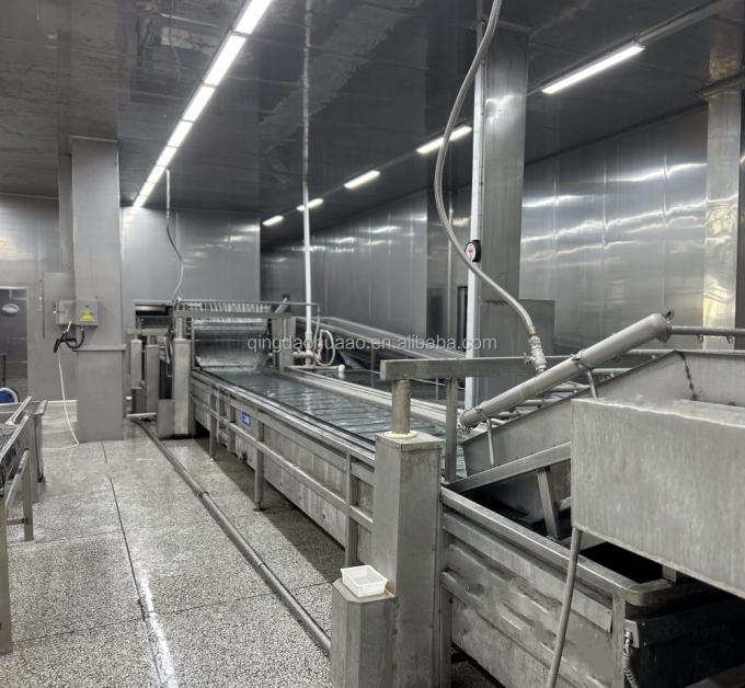 Sinocharm HALAL KOSHER Frisch 4*4mm chinesischer IQF Diced Ginger Lieferant 1kg Gefrierter Ginger f&uuml;r Gew&uuml;rze 5