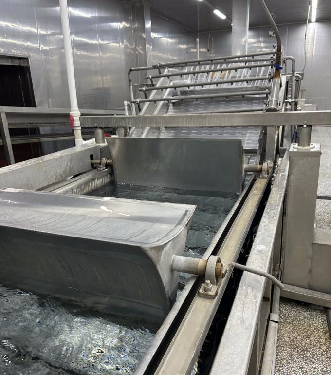 Sinocharm HALAL KOSHER Frisch 4*4mm chinesischer IQF Diced Ginger Lieferant 1kg Gefrierter Ginger f&uuml;r Gew&uuml;rze 8