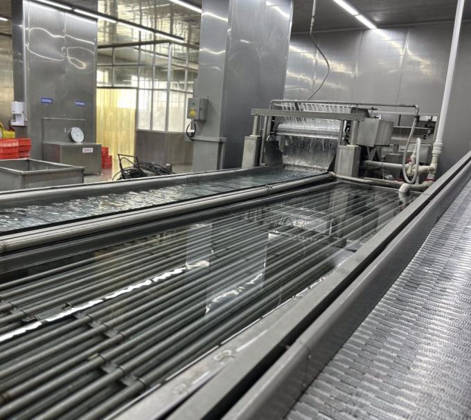 Sinocharm HALAL KOSHER Frisch 4*4mm chinesischer IQF Diced Ginger Lieferant 1kg Gefrierter Ginger f&uuml;r Gew&uuml;rze 9