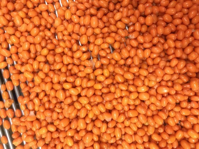 Ursprung China IQF Frisch Gefrorene Wilde Sanddorn Erstklassiger Sanddorn Preiselbeere Himbeere, Blaubeere Gemischte Beeren 2