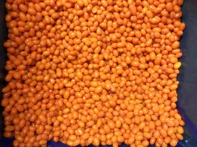 Ursprung China IQF Frisch Gefrorene Wilde Sanddorn Erstklassiger Sanddorn Preiselbeere Himbeere, Blaubeere Gemischte Beeren 3