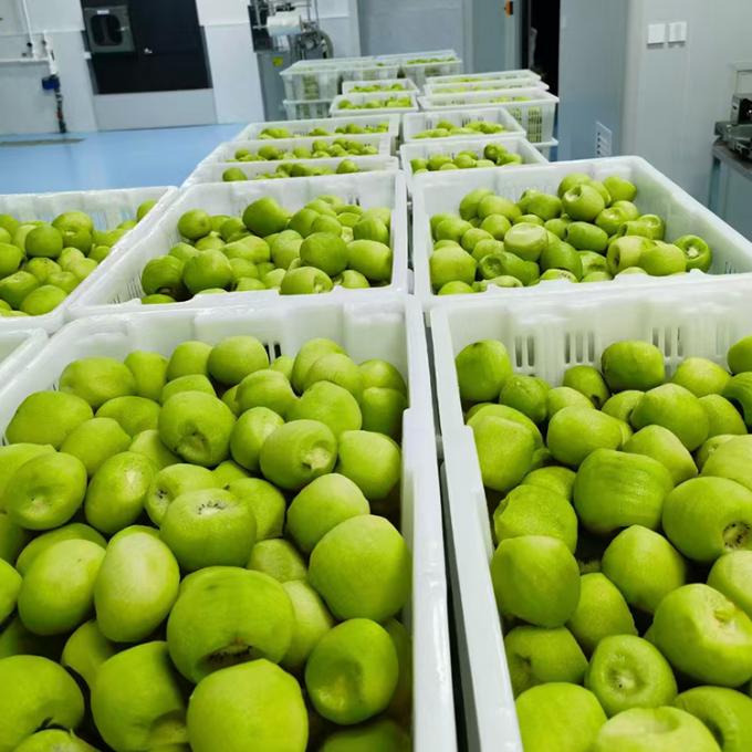 Kiwi-Frucht gefrorenes Obst gefrorene Kiwi-Kugel Qualit&auml;t nat&uuml;rlich 3