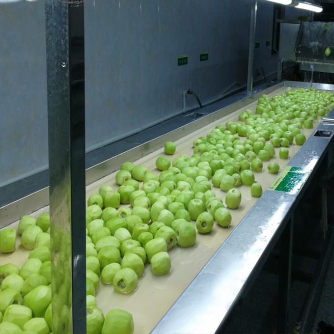 Kiwi-Frucht gefrorenes Obst gefrorene Kiwi-Kugel Qualit&auml;t nat&uuml;rlich 5