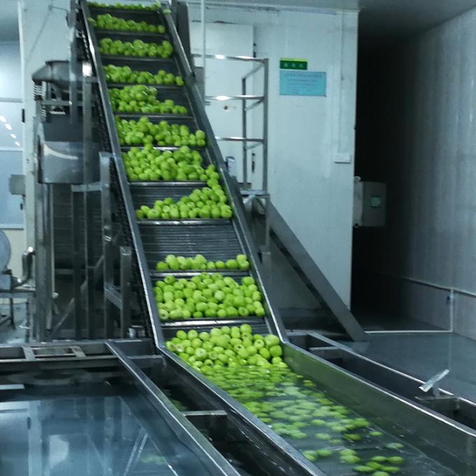 Kiwi-Frucht gefrorenes Obst gefrorene Kiwi-Kugel Qualit&auml;t nat&uuml;rlich 6