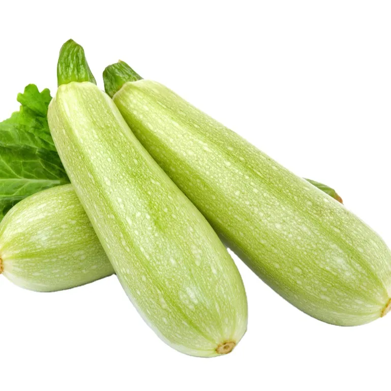 Gefrorenes Gemüse für Ihr Lebensmittelgeschäft Perfekt für Ihre Lebensmittel-Service Bedürfnisse Zucchini 2