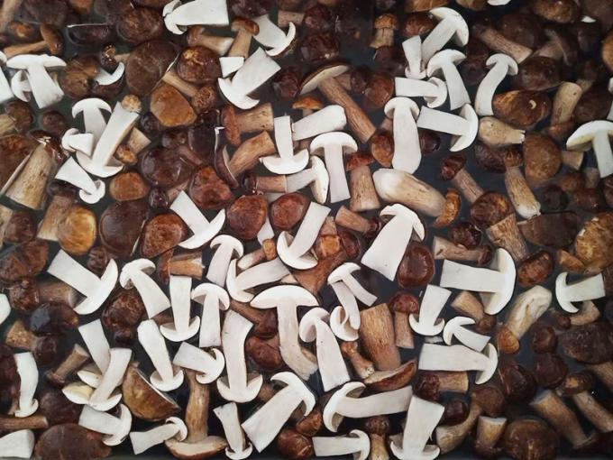 Gefrorene Pilze IQF BOLETUS EDULIS Grade A Haltbarkeitsdauer 24 Monate ISO HACCP BRC KOSHER HALAL Zertifiziert 10 Tonnen MOQ 0