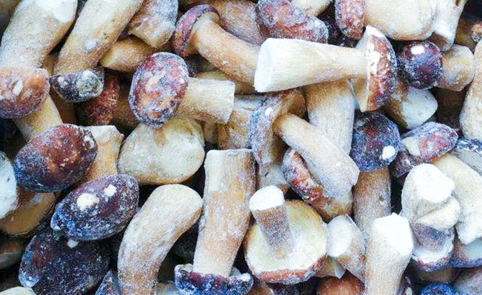Gefrorene Pilze IQF BOLETUS EDULIS Grade A Haltbarkeitsdauer 24 Monate ISO HACCP BRC KOSHER HALAL Zertifiziert 10 Tonnen MOQ 2