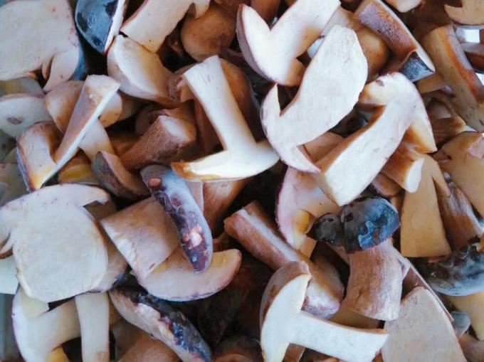 Gefrorene Pilze IQF BOLETUS EDULIS Grade A Haltbarkeitsdauer 24 Monate ISO HACCP BRC KOSHER HALAL Zertifiziert 10 Tonnen MOQ 1
