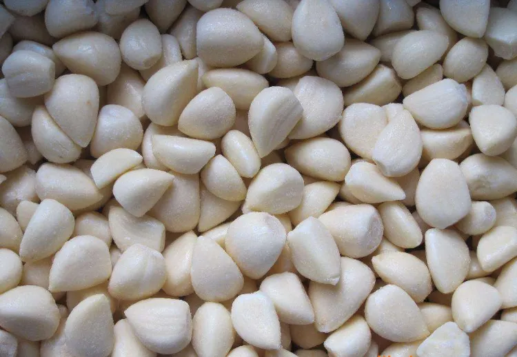 Holen Sie sich das beste gefrorene Gemüse IQF gefrorene geschälte Knoblauchzehen Würfel und Puree zu günstigen Preisen 1