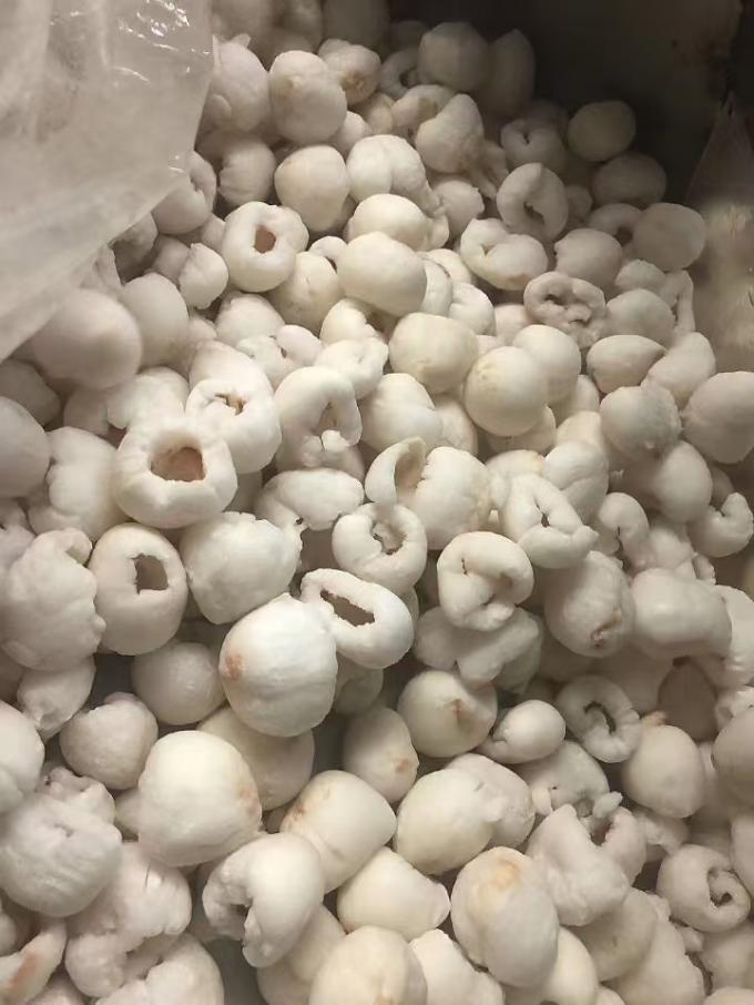 Gefrierter ganzer gesch&auml;lter Lychee in Massenkartonverpackung IQF S&uuml;&szlig;geschmeckter Lychee mit Mango 3