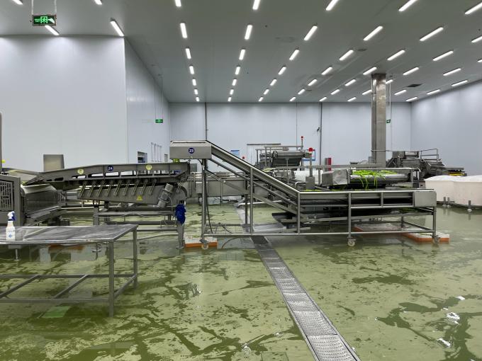 Hochwertige, frisch gefrorene Himbeeren, handverlesen f&uuml;r s&uuml;&szlig;en Geschmack f&uuml;r S&auml;fte, Desserts, Milchshakes 9