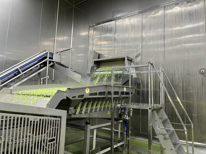 Hochwertige, frisch gefrorene Himbeeren, handverlesen f&uuml;r s&uuml;&szlig;en Geschmack f&uuml;r S&auml;fte, Desserts, Milchshakes 10