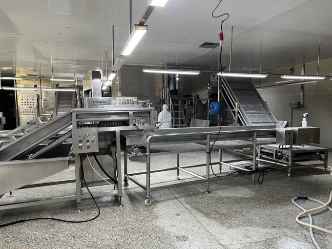 Hochwertige, frisch gefrorene Himbeeren, handverlesen f&uuml;r s&uuml;&szlig;en Geschmack f&uuml;r S&auml;fte, Desserts, Milchshakes 11