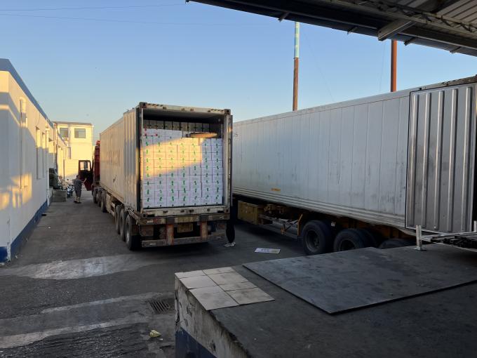 Hochwertige, frisch gefrorene Himbeeren, handverlesen f&uuml;r s&uuml;&szlig;en Geschmack f&uuml;r S&auml;fte, Desserts, Milchshakes 16