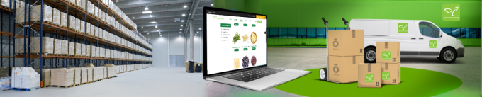 Beste hochwertige gefrorene Austernpilze Gro&szlig;handel Neugr&uuml;nnensorten IQF Austernpilzschnitte 8