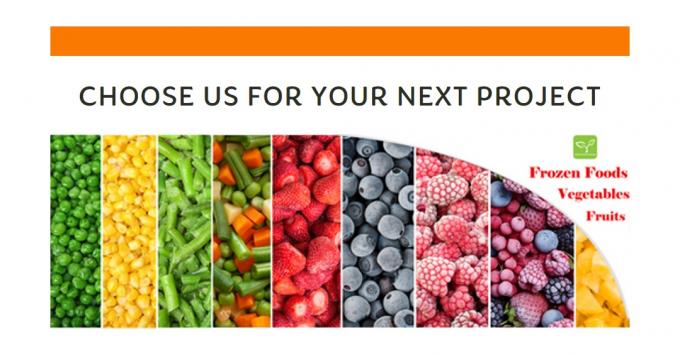 Beste hochwertige gefrorene Austernpilze Gro&szlig;handel Neugr&uuml;nnensorten IQF Austernpilzschnitte 9