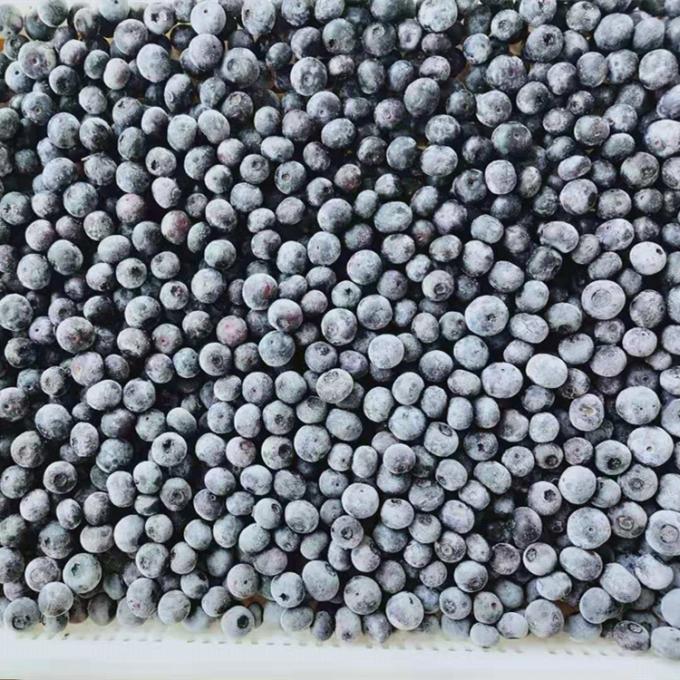 Gro&szlig;handel Chinesische Iqf Gefrorene Beeren IQF Gefrorene Blaubeere f&uuml;r den Export mit Gutem Preis Blaubeere 0